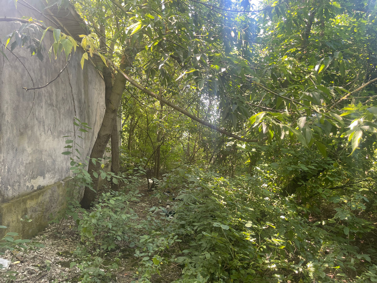 Teren Pentru Constructii Si Casa De Locuit Sat. Dîngeni, Rnul Ocnita