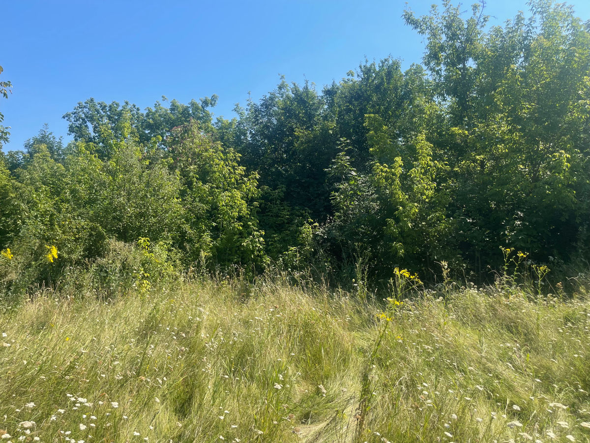 Teren Pentru Constructii Si Casa De Locuit Sat. Dîngeni, Rnul Ocnita