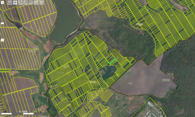 2 Terenuri Agricole Sat Drepcauti, R-nul Briceni
